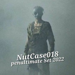 NutCase018 - the penultimate Set 2022