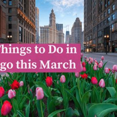 Best Things To Do In Chicago March 2025 Tours Review