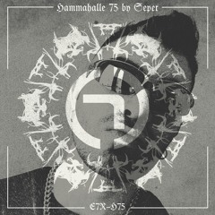HAMMAHALLE 75 by Seper