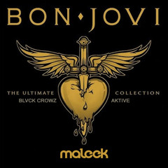Bon Jovi & BLVCK CROWZ x Aktive - It's My Life (maleek blend)