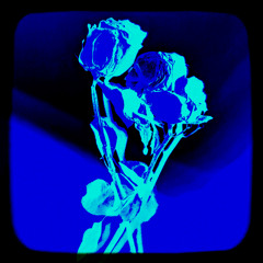 BLU