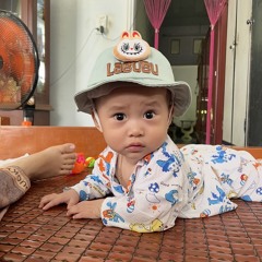 Chất Phương Nam Lý Cây Bông Mộng Bờ Tây (KD)