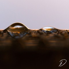 The Circle