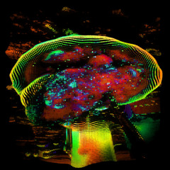 Hatch Starmsong Approaching Planet Eseehn Etic