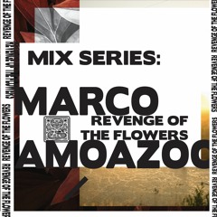 SHNGMIX26 The Revenge Of The Flowers mix series: Marco Amoazoo