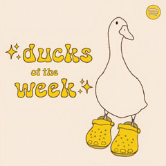 ✨Ducks of the week✨