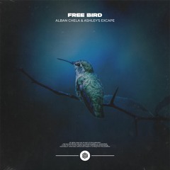 Alban Chela & Ashley's Excape - Free Bird