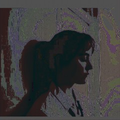 doll dreams