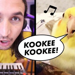 The Kiffness X Ginger The Cockatiel - Kookee Kookee (Jos!fer Bootleg)