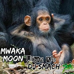 MWAKA - MOOON  RmX  SMACH ( Urbankizz 2020 )