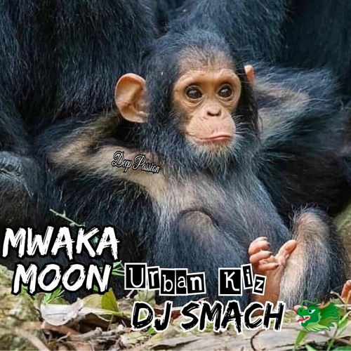 MWAKA - MOOON  RmX  SMACH ( Urbankizz 2020 )