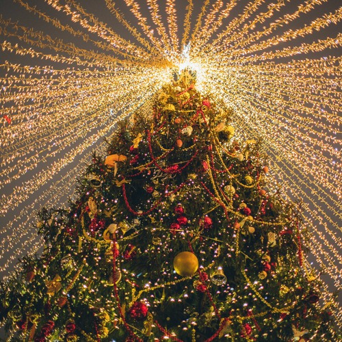 O Holy Night- Christmas 2023