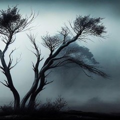 Haiena303 - Extrait Live acid melodic (no master)