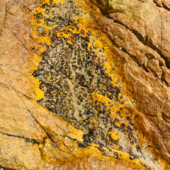 Subtorq - LOOP 6 - Warehouse Techno