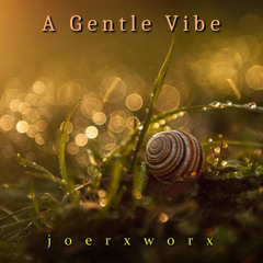 A Gentle Vibe