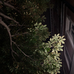 Atmosphere