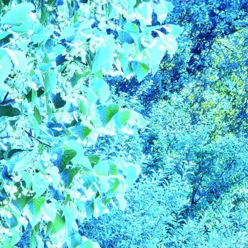 The Aeonic Kriya Breath of Beings Beyond