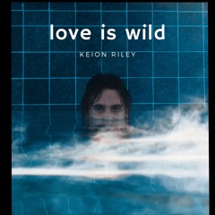 Love Is Wild