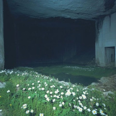 stimming in the backrooms (version B)