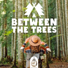🌳 Between The Trees 🌳 - An Indie/Folk/Acoustic Playlist