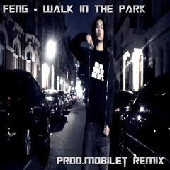 feng - walk in the park remix