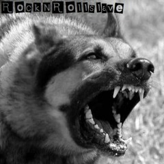 rocknrollslave