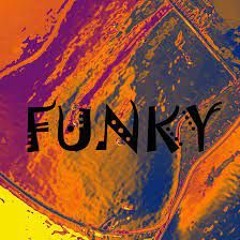 The Funky Groove First Try *
