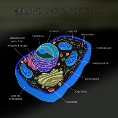 Eukaryotic Mode