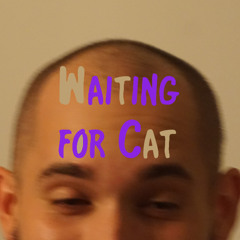 Waiting for Cat