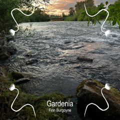 Gardenia