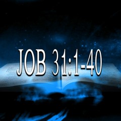 Job 31:1-40