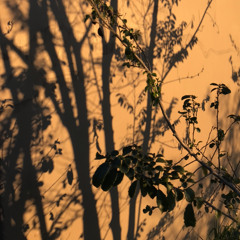 Mazzy Star - Fade Into You (cover)