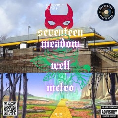 Seventeen, Meadow Well Metro