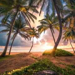 PARADISE