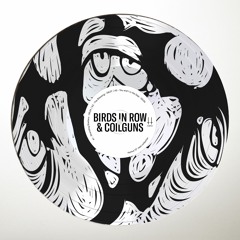 Birds in Row & Coilguns - You and I in the Gap