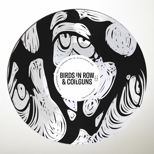 Birds in Row & Coilguns - You and I in the Gap