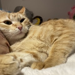 Real Fast Prod. jeiddn