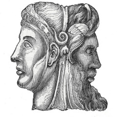 Janus Experiment 002
