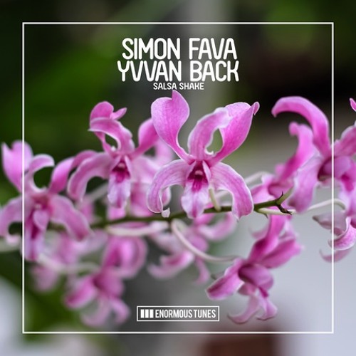 Simon Fava & Yvvan Back - Salsa Shake