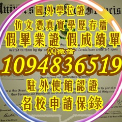 办理USF学历证书