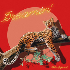 DREAMIN’