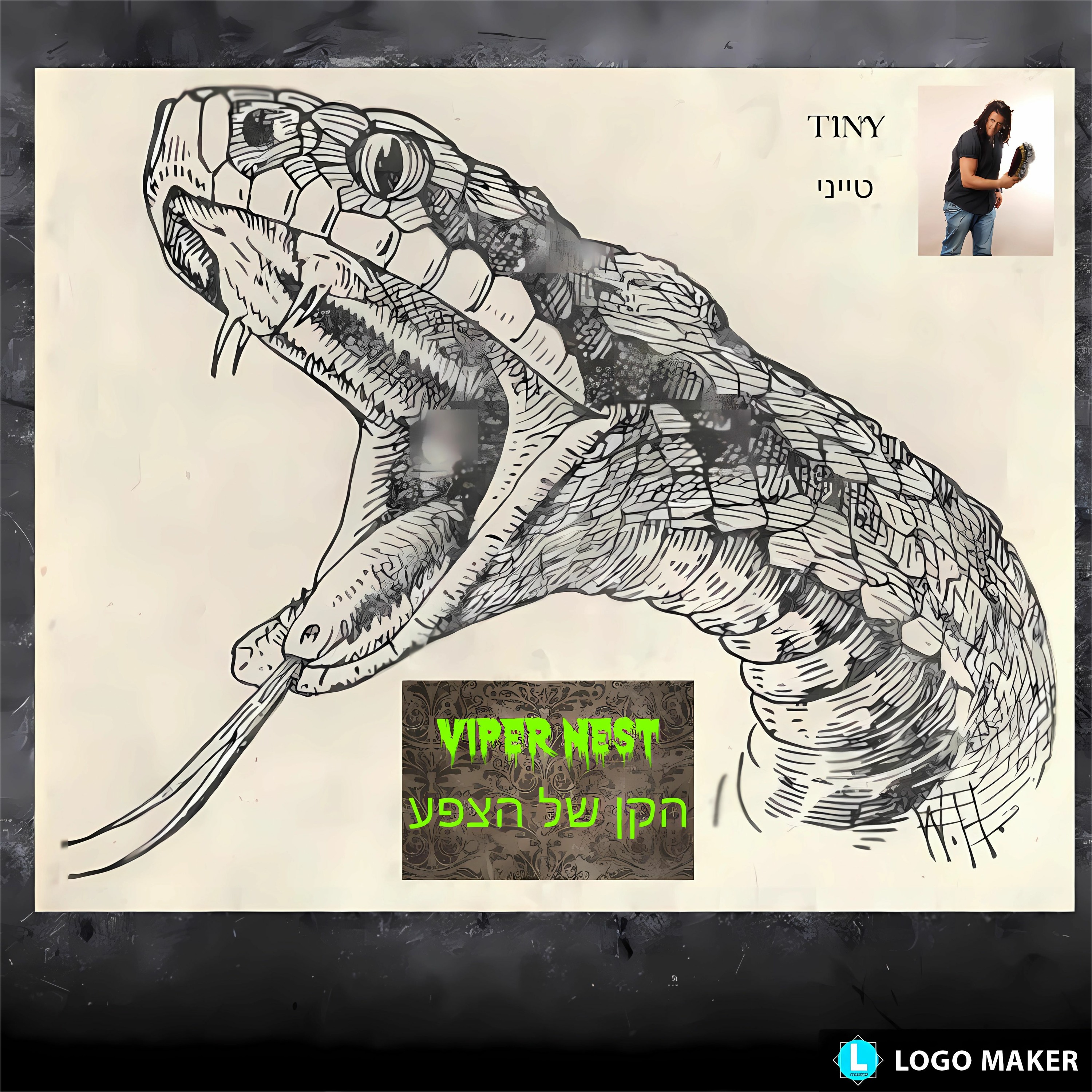 Viper Nest - הקן של הצפע episode artwork