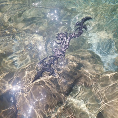 ANDELE (2thousan9 x Boka)