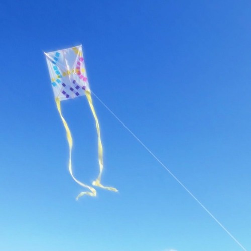 v3geboy - kite in the breeze feat. izolma, Adachi Keito