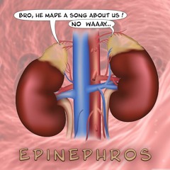 2019 - Epinephros
