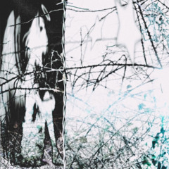 Conceited + You're Dreaming {Oliver01}