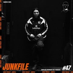 Bipolar Disorder Records Podcast 047 // Junkfile
