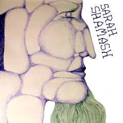 SARAH SHAMASH - "The time has come" (Out aug, 2015)