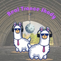 NYADjs - Real Trance Shady (Eminem Bootleg) [FREE DOWNLOAD]