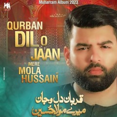Qurban Dil o Jaan Mere Mola Hussain | Mesum Abbas | Noha 2023-24